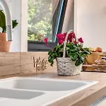 Splendido Attico Per Chi Ama Escursioni Nella Natura Apartamento *