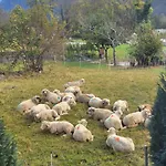 Apartamento Splendido Attico Per Chi Ama Escursioni Nella Natura *