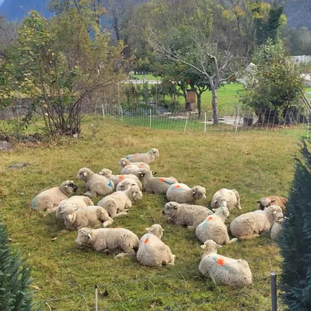 Daire Splendido Attico Per Chi Ama Escursioni Nella Natura *