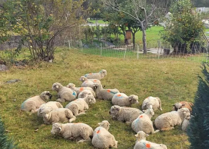 Daire Splendido Attico Per Chi Ama Escursioni Nella Natura *