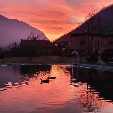 Splendido Attico Per Chi Ama Escursioni Nella Natura דירה